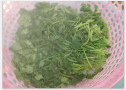 香菜拌百叶的做法(香菜豆腐丝)